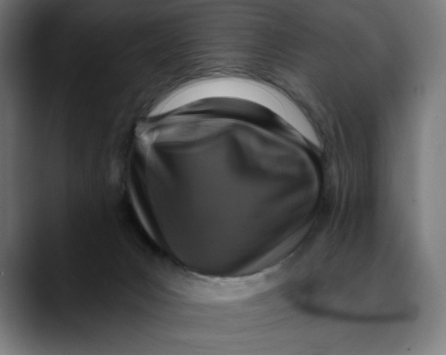 X0000088920031200707061411