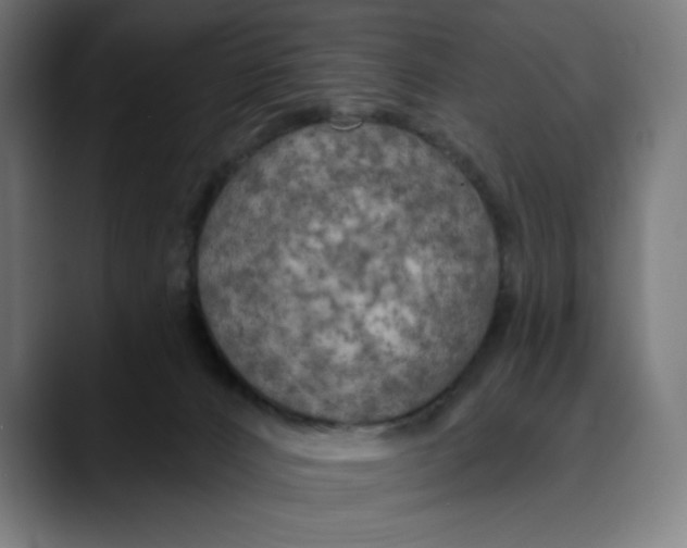 X0000088920032200707061411