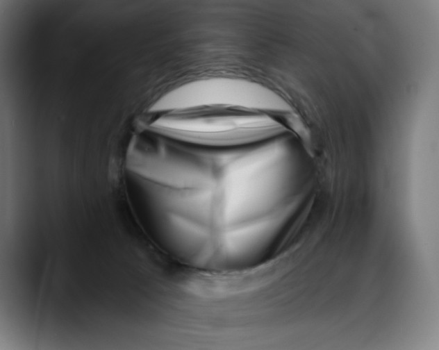 X0000088920033200707061411