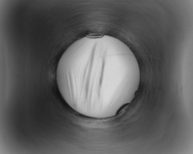 X0000088920040200707061411