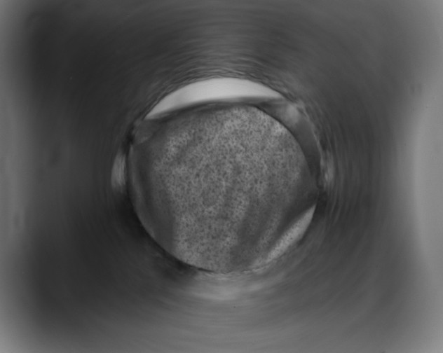 X0000088920041200707061411