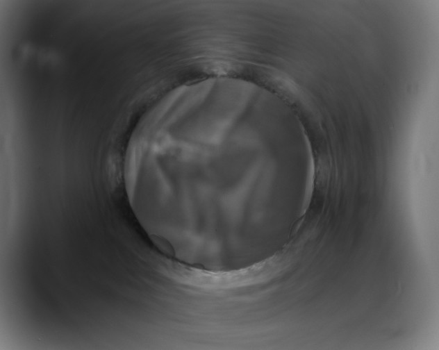 X0000088920043200707061411