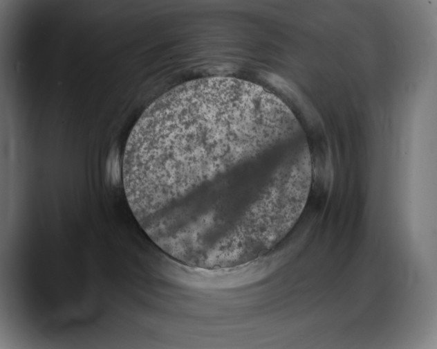 X0000088920046200707061411