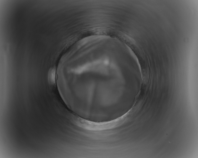 X0000088920047200707061411