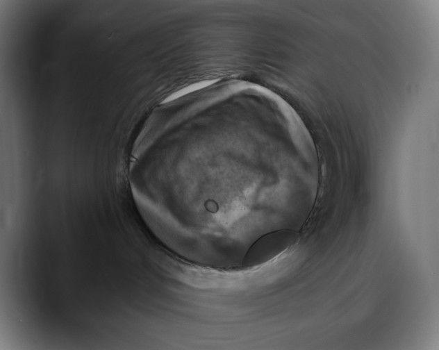 X0000088920048200707061411