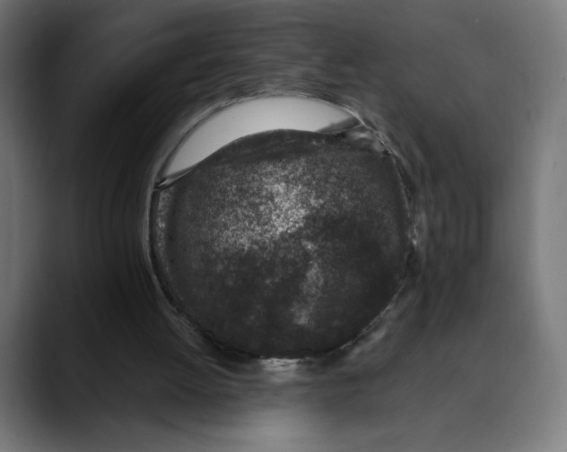 X0000088920052200707061410