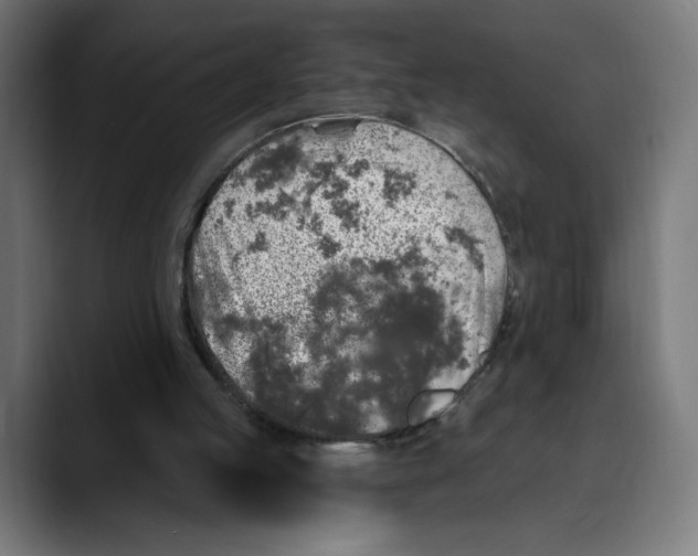 X0000088920053200707061410
