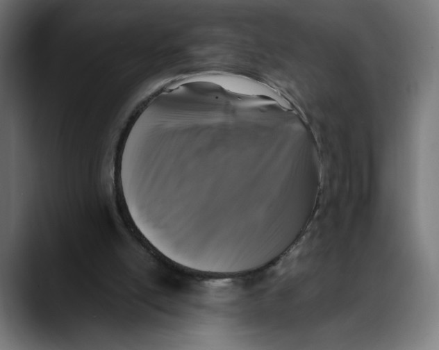 X0000088920054200707061410