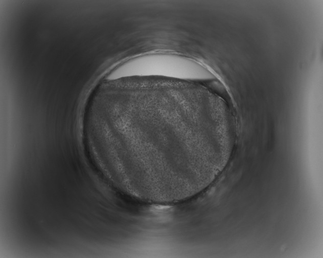 X0000088920055200707061410
