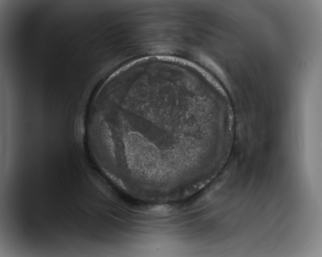 X0000088920059200707061410