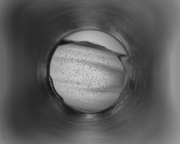 X0000088920060200707061411