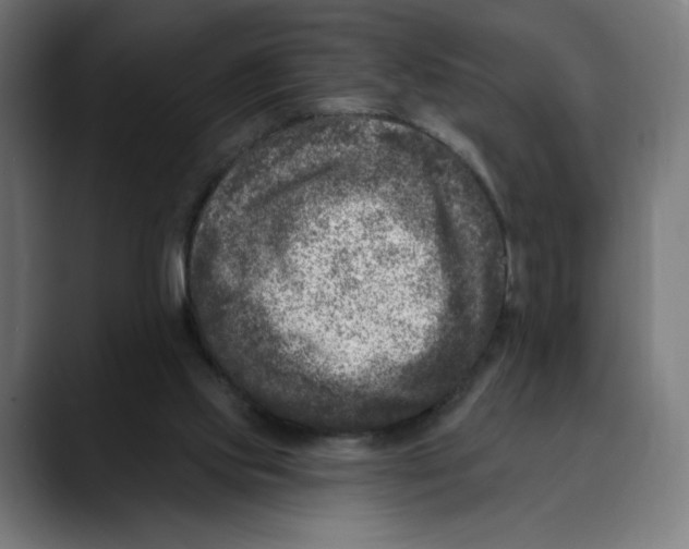 X0000088920061200707061411