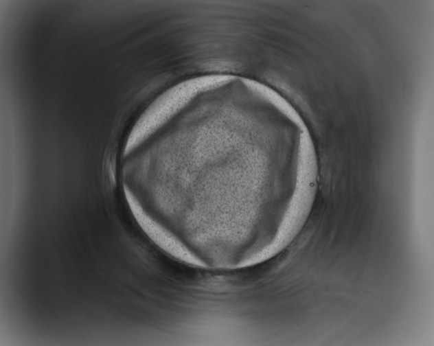 X0000088920062200707061411