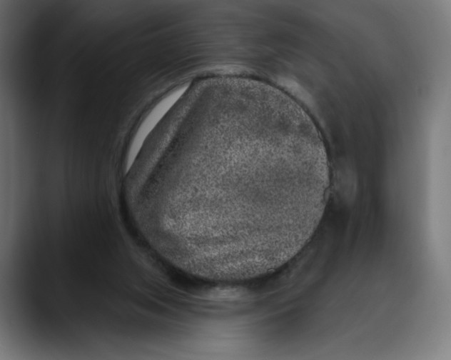 X0000088920063200707061411