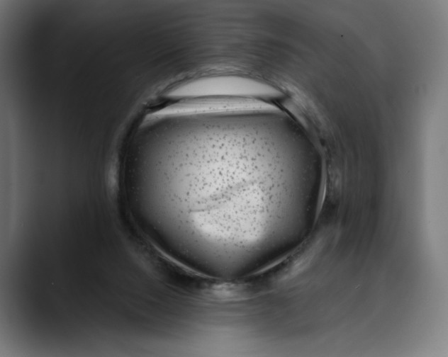 X0000088920064200707061411