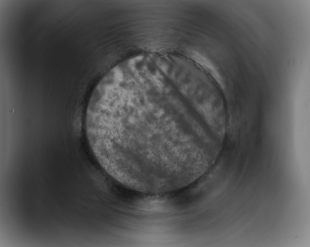 X0000088920065200707061411