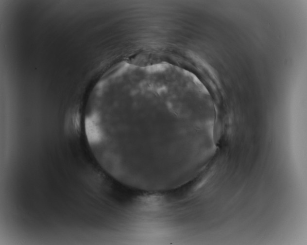 X0000088920067200707061411