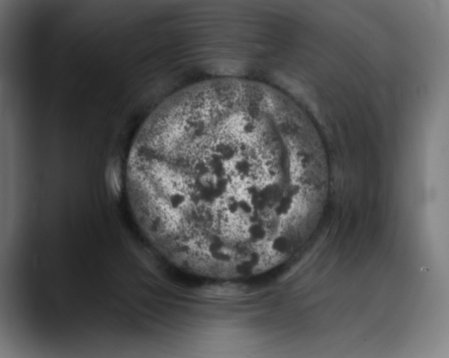 X0000088920069200707061411