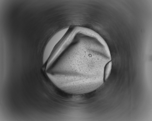 X0000088920070200707061411