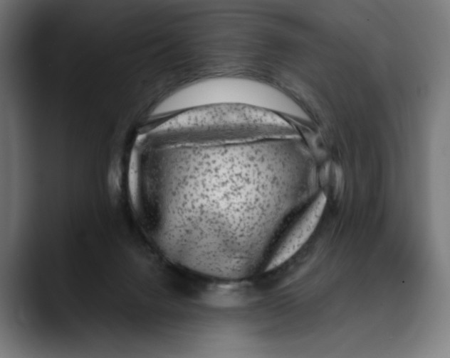 X0000088920072200707061411