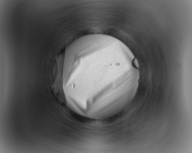 X0000088920075200707061411