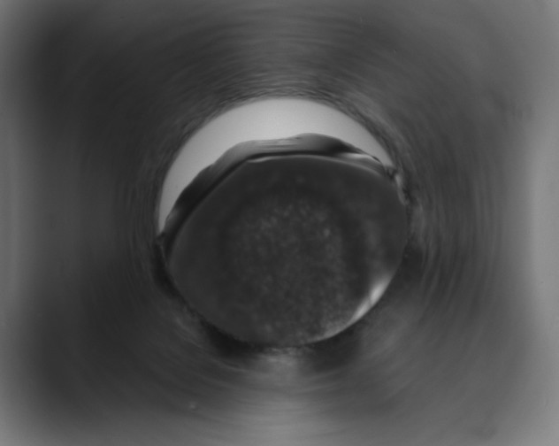 X0000088920076200707061411
