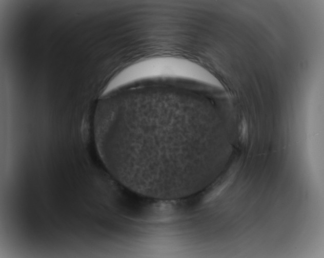 X0000088920080200707061411
