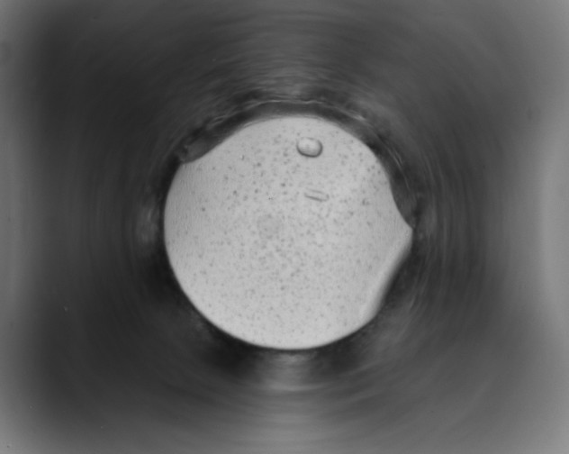 X0000088920081200707061411