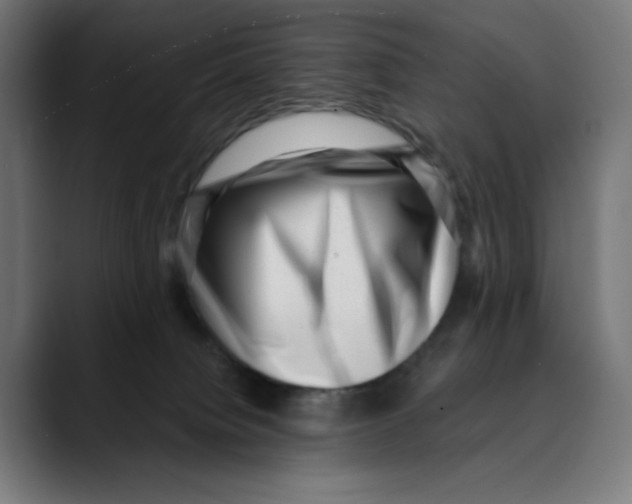 X0000088920084200707061411