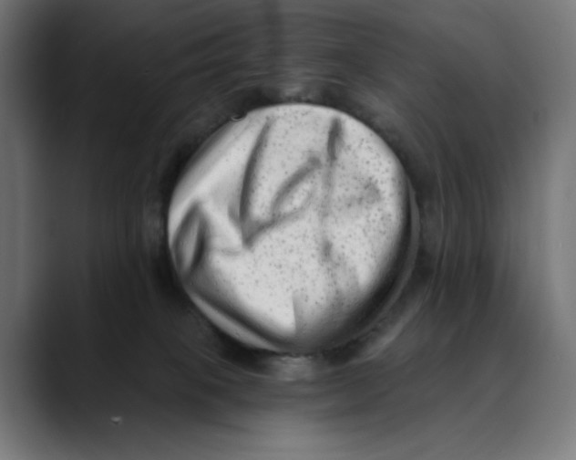 X0000088920085200707061411
