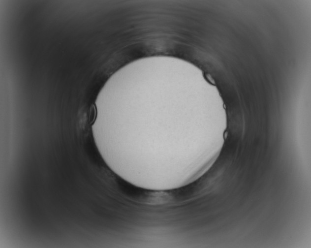 X0000088920087200707061411
