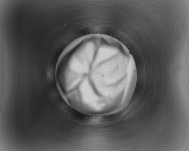 X0000088920090200707061411
