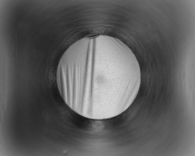 X0000088920091200707061411
