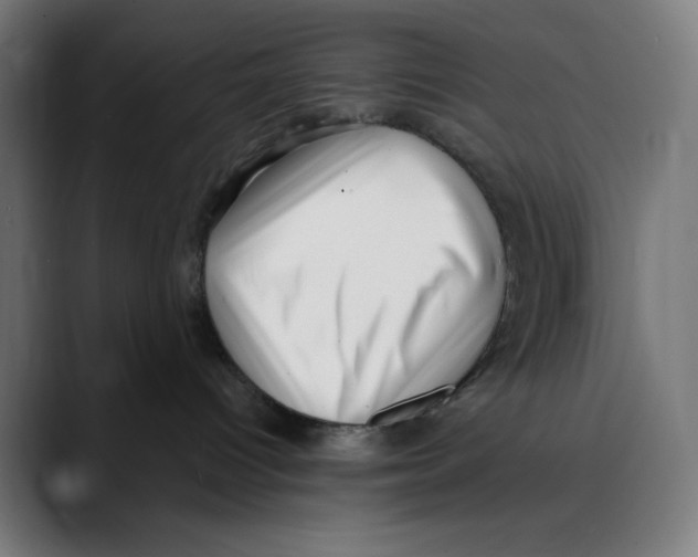 X0000088920096200707061411
