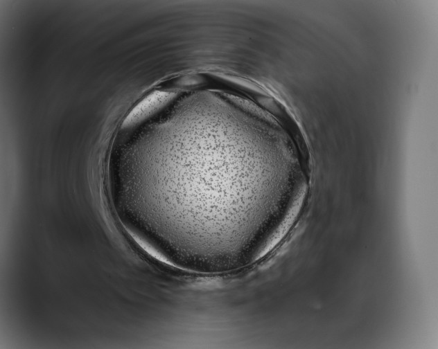 X0000088920097200707061410