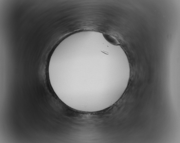 X0000088920098200707061410