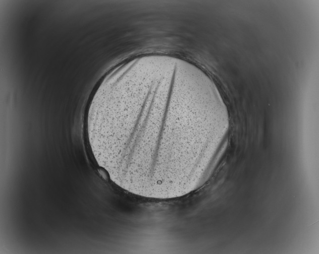 X0000088920100200707061410