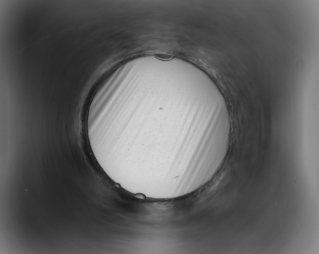 X0000088920102200707061410