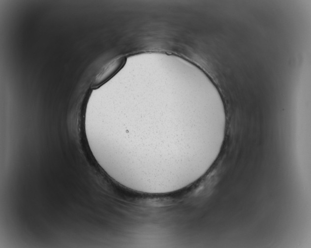 X0000088920103200707061410
