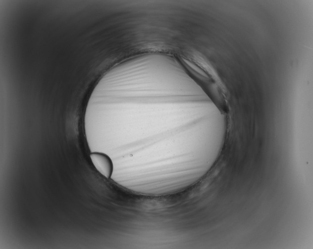 X0000088920106200707061410