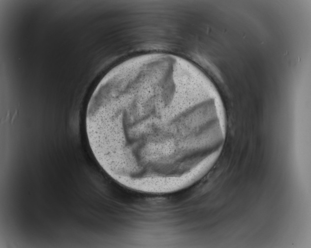X0000088920108200707061410