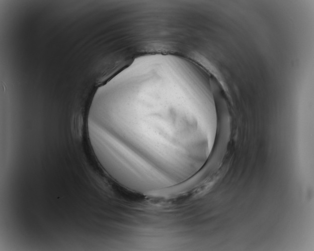 X0000088920109200707061410