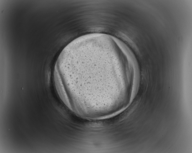 X0000088920110200707061410