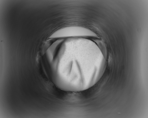 X0000088920125200707061410