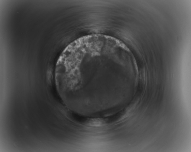 X0000088920127200707061410