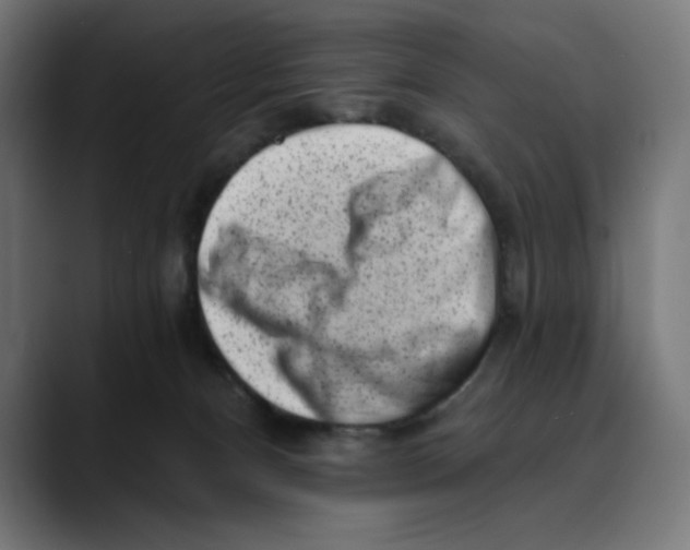 X0000088920128200707061410