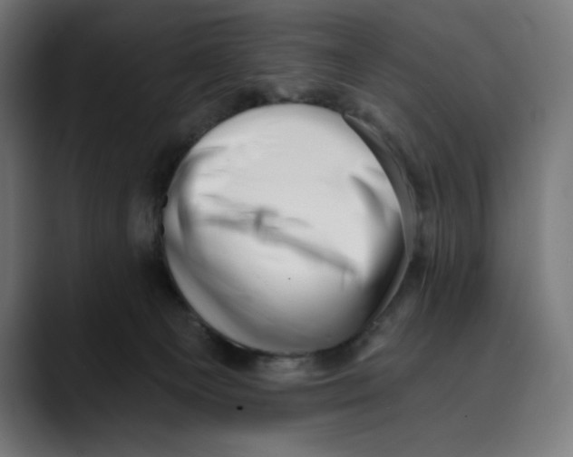 X0000088920129200707061410