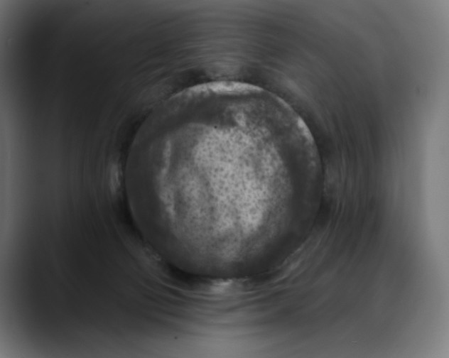 X0000088920130200707061410
