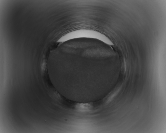 X0000088920137200707061410