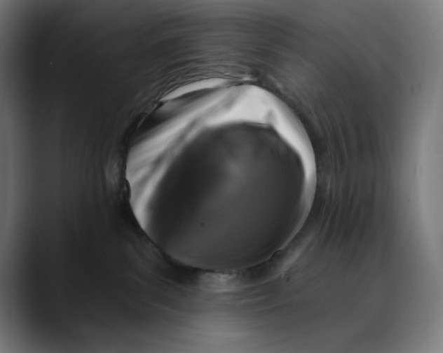 X0000088920139200707061410